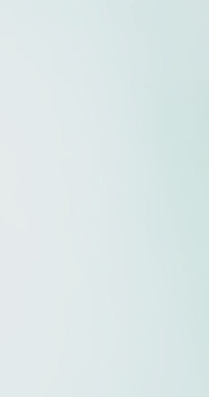 Noir Laptop Business Bag with Detachable Laptop Sleeve